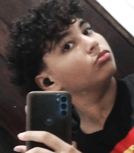 img perfil